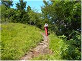 Dom na Govejku - Gontarska planina